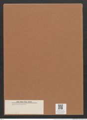 Diatomeae indet. (de-Toni-Nr.: Species 2539 ?) Zeichnungen Sammlung Grunow Mappe 02725 (Herbarium_W_Grunow_drawings_Folder_02725)